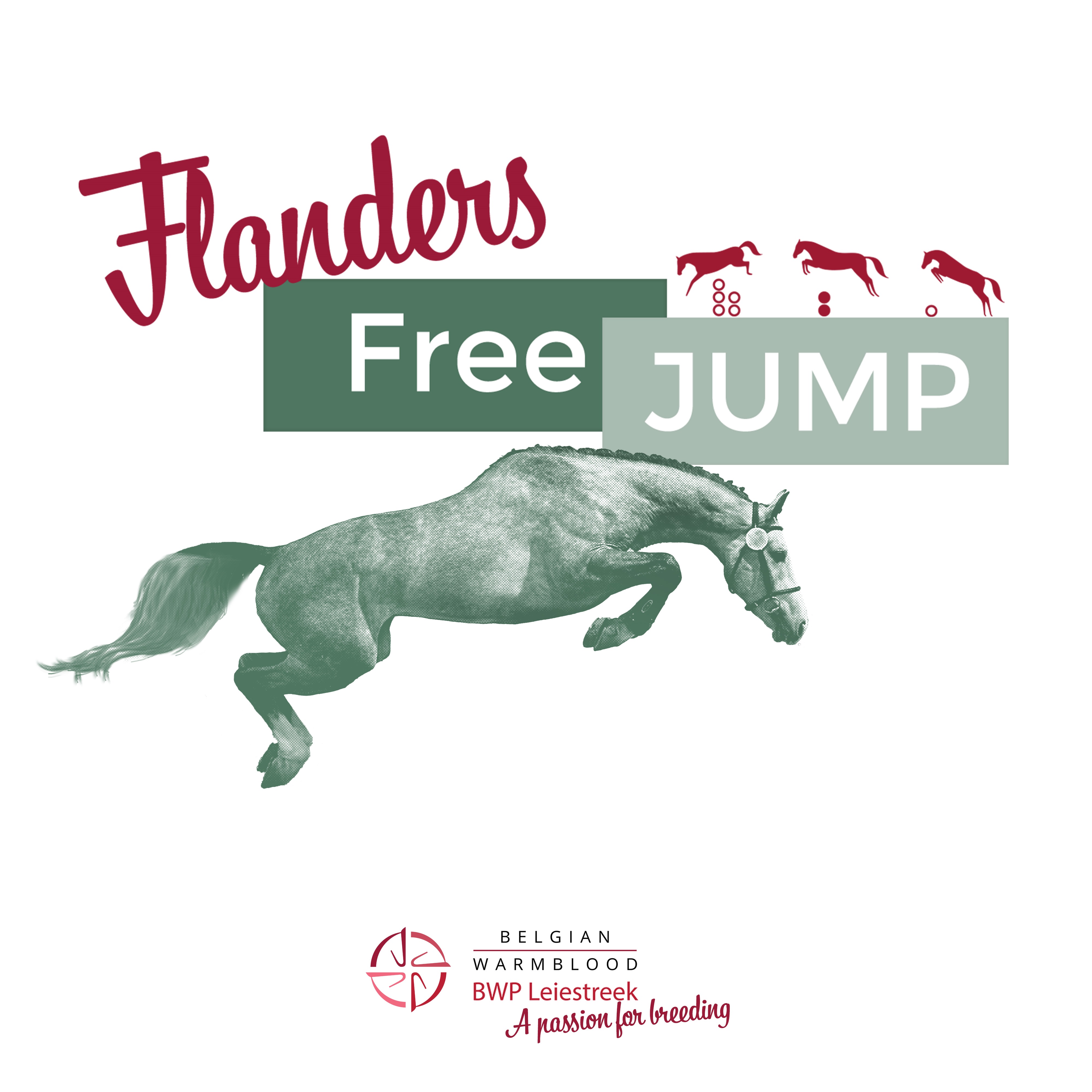 Flanders Jump Flanders Free Jump 2023 | Belgian Warmblood
