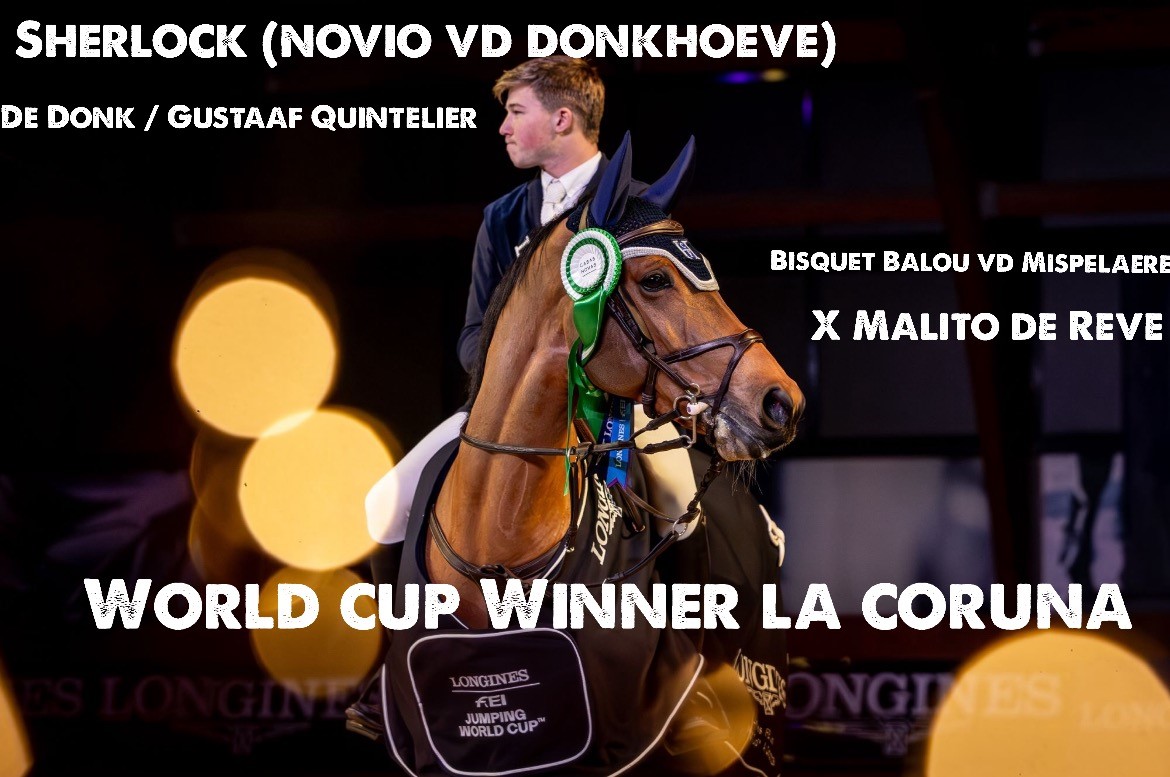 Novio vd donkhoeve