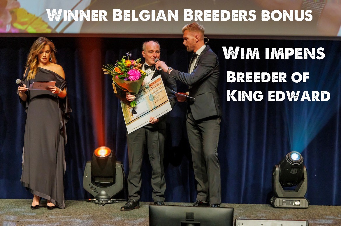 impens wim belgian breeders bonus