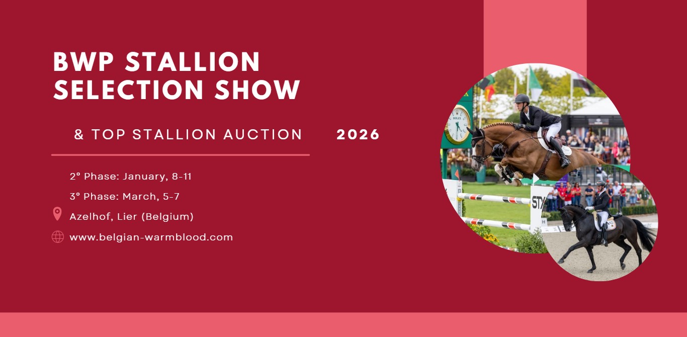 expertise des etalons