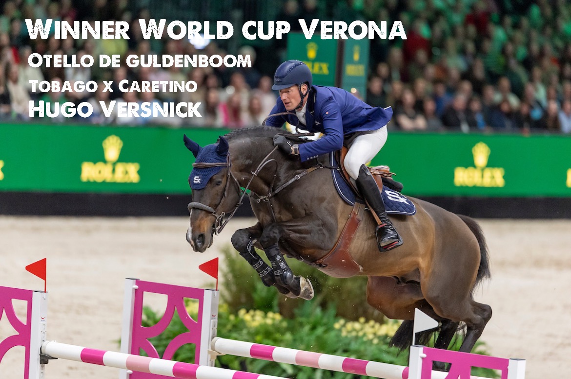 otello de guldenboom