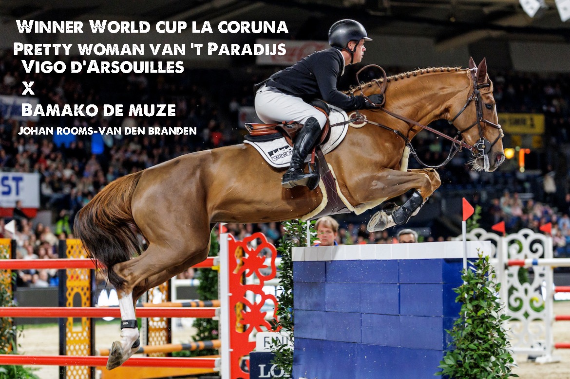 expertise des etalons