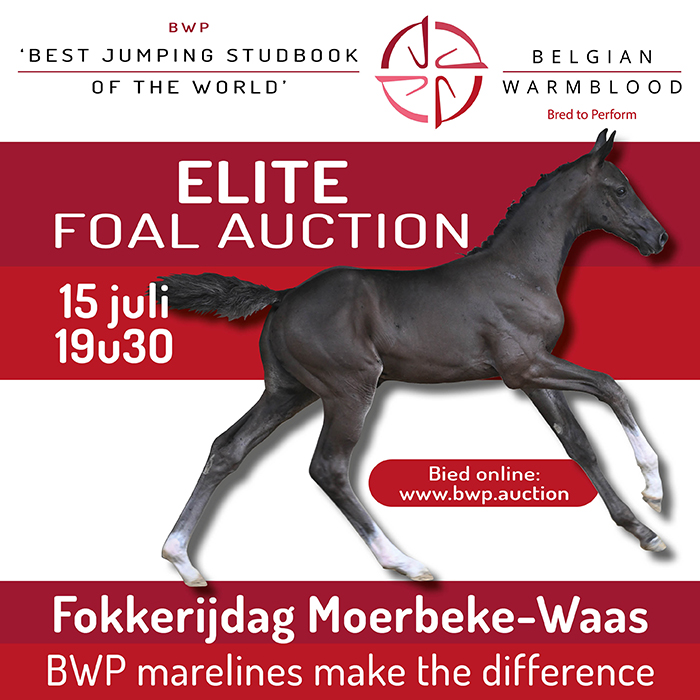 https://bwp.auction/home