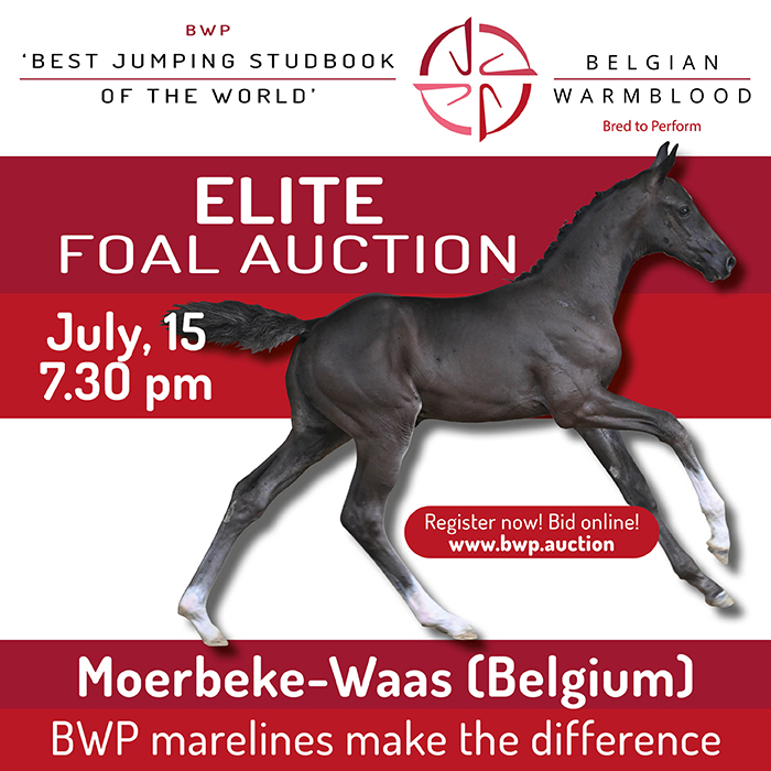 https://bwp.auction/en/home