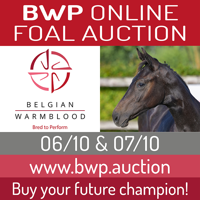 Online Foal Auction 2025