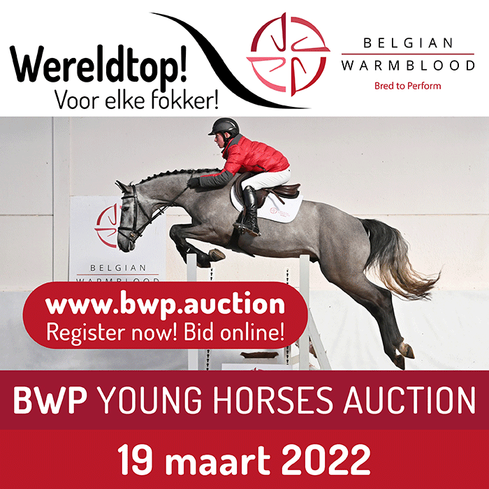 Banner Young Horses Auction