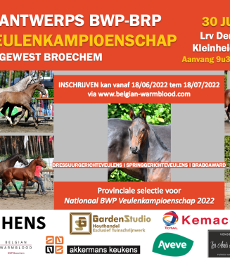 Flyer Antwerps Veulenkampioenschap
