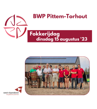 Fokkerijdag BWP Pittem-Torhout