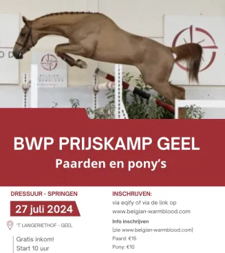 Fokkerijdag Antwerpen - Geel