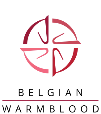 bwp logo