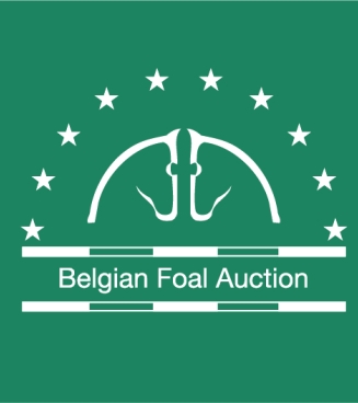 belgian foal auction