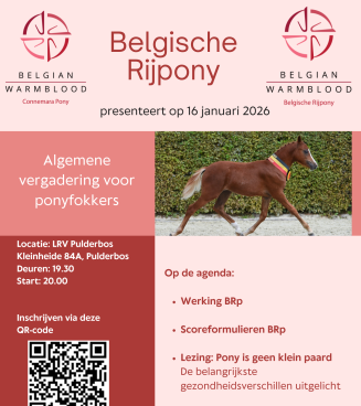 Algemene Vergadering BRp 2026