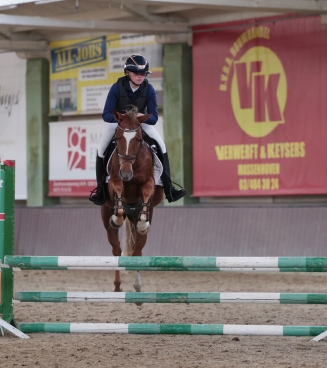 Nationaal Bestgaande rijpony