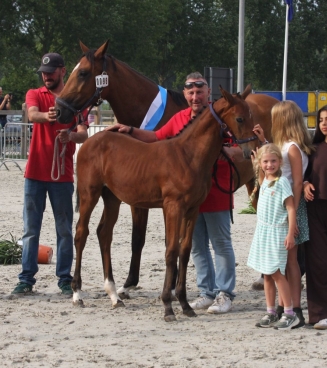 Fokkerijdag Moerbeke