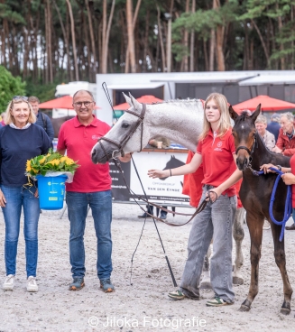 ANTWERPS VEULENKAMPIOENSCHAP PULDERBOS