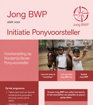 Flyer pony's voorstellen Aalter 