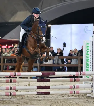 Bestgaande rijpony Mechelen