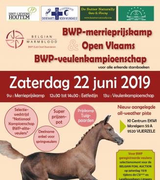Open Vlaams BWP-veulenkampioenschap BWP Zuid-Oost-Vlaanderen met selectie Belgian Foal Auction
