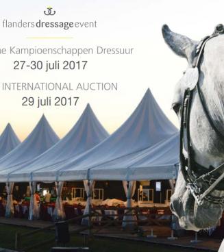 Selectie dressuurveiling FDE International Auction