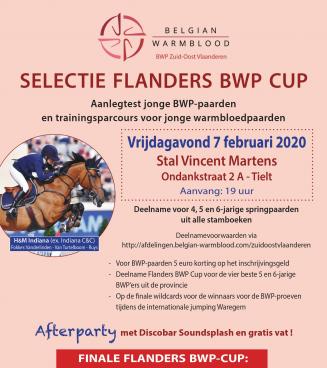 Selectie Flanders BWP Cup en trainingsparcours jonge springpaarden BWP Zuid-Oost-Vlaanderen