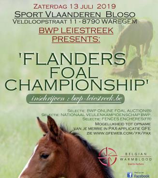 Zaterdag 13 juli 2019: Open Flanders Foal Championship Zaterdag 13 juli 2019: Open Flanders Foal Championship