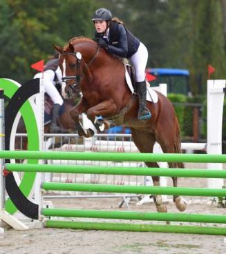 Concours meilleur poney de selle Belge, Wallonie - Aiseau