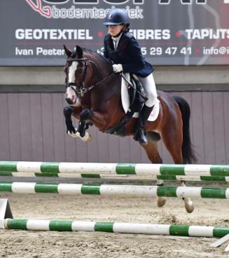 Nationale wedstrijd Bestgaande Rijpony Nationale wedstrijd Bestgaande Rijpony