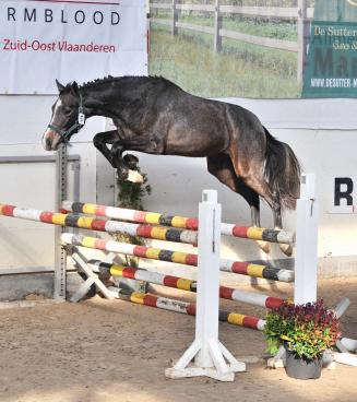 Eerste oefennamiddag vrijspringen BWP Zuid-Oost-Vlaanderen