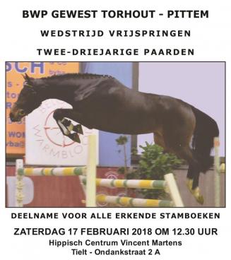 Wedstrijd vrijspringen voor 2- en 3-jarige paarden, Pittem-Torhout 