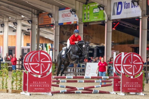 All in Van't Klavertje Vier