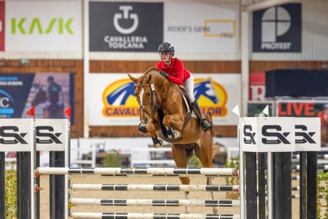 Vlademir van de Beuzerik