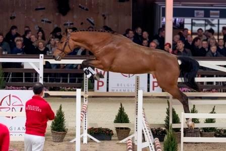 QUICK GIN DE BRANDEGEM QUICK GIN DE BRANDEGEM