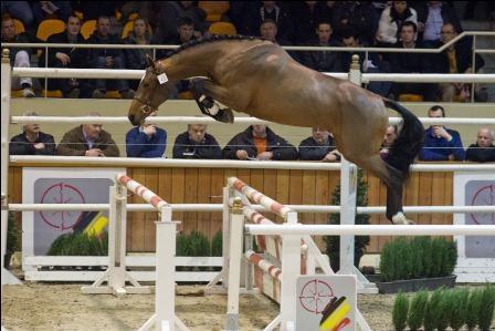 JILBERT VAN ' T RUYTERSHOF JILBERT VAN ' T RUYTERSHOF
