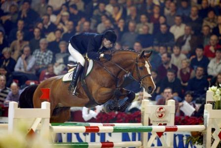 QUASIMODO VD MOLENDREEF D'08 QUASIMODO VD MOLENDREEF D'08