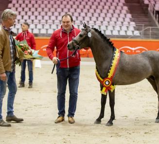 6 nieuwe hengsten goedgekeurd voor BRp