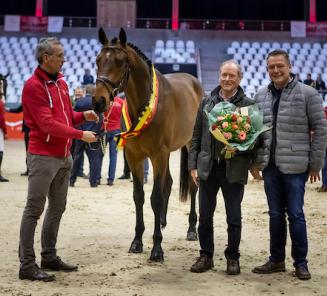 De nieuwe BWP-goedgekeurde hengsten 2019