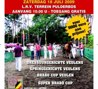 www.veulenskopen.be www.veulenskopen.be