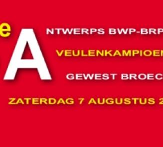 Antwerps Veulenkampioenschap