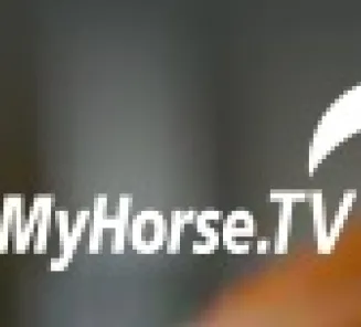 BWP Stallion Selection show on ClipMyHorse