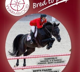 BWP spot Hengstenkeuring op HippoTV BWP spot Hengstenkeuring op HippoTV