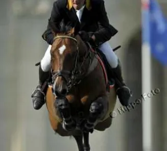 Farewell Torinto Of Middelstede