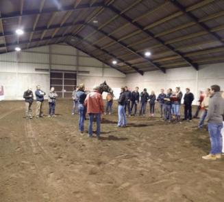 Jong BWP bereidt jongeren voor op het WK Young Breeders Jong BWP bereidt jongeren voor op het WK Young Breeders