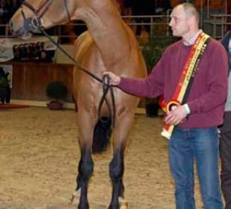 Young Breeder Award voor Geert Schepers Young Breeder Award voor Geert Schepers