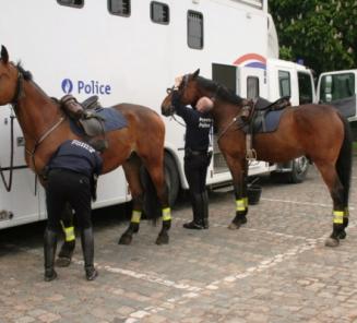 Petitie afschaffing Federale Politie te Paard