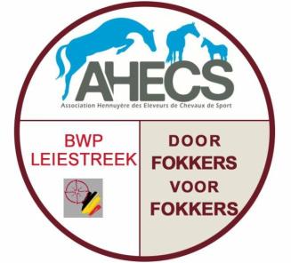 Flanders Free Jump 2015: Laatste dag inschrijvingen open (tot 24 uur) Flanders Free Jump 2015: Laatste dag inschrijvingen open (tot 24 uur)