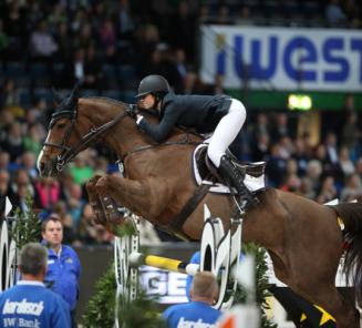 BWP-paarden aan de winst in Wellington BWP-paarden aan de winst in Wellington
