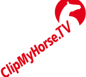 Third Phase BWP Stallion Selection show on ClipMyHorse