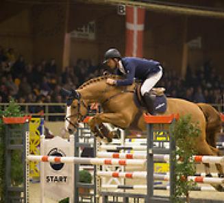 Uitkijken naar Finale Pavo Hengstencompetitie