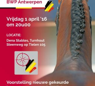 Provinciale hengstenvoorstelling Antwerpen Provinciale hengstenvoorstelling Antwerpen