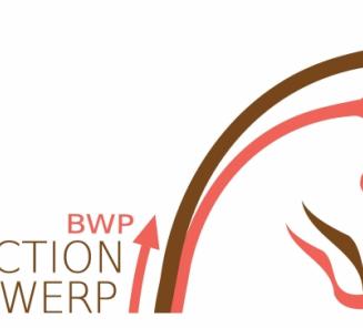 Selecties voor BWP Auction Antwerp